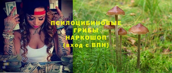 круглые Белокуриха