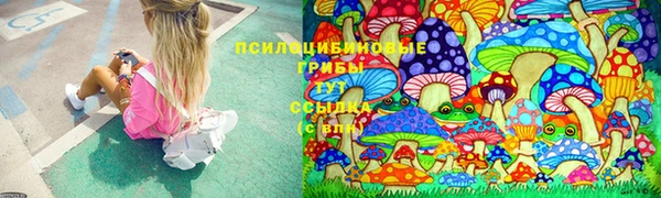 прущие грибы Белоозёрский