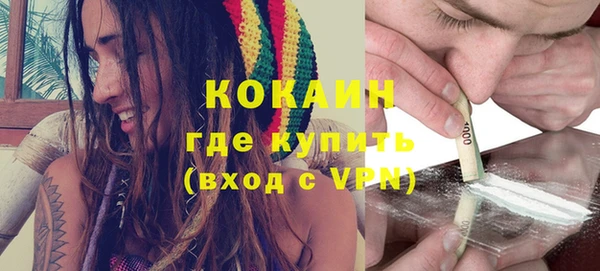 прущие грибы Белоозёрский