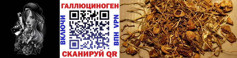 гидра онион Меленки Псилоцибиновые грибы MAGIC MUSHROOMS